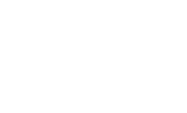 Zyropilot Logo